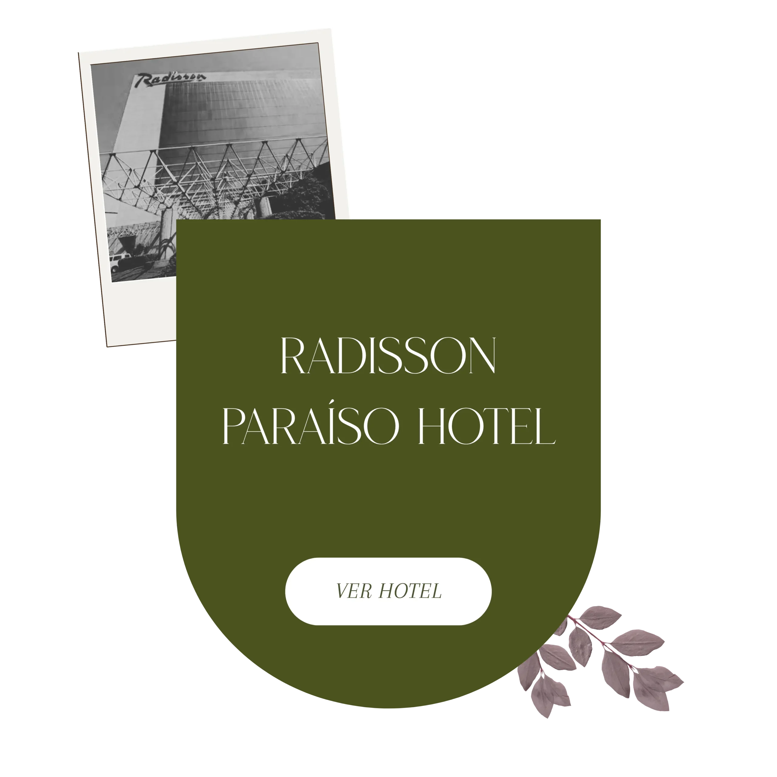 11 OPCION DE HOTEL (3)