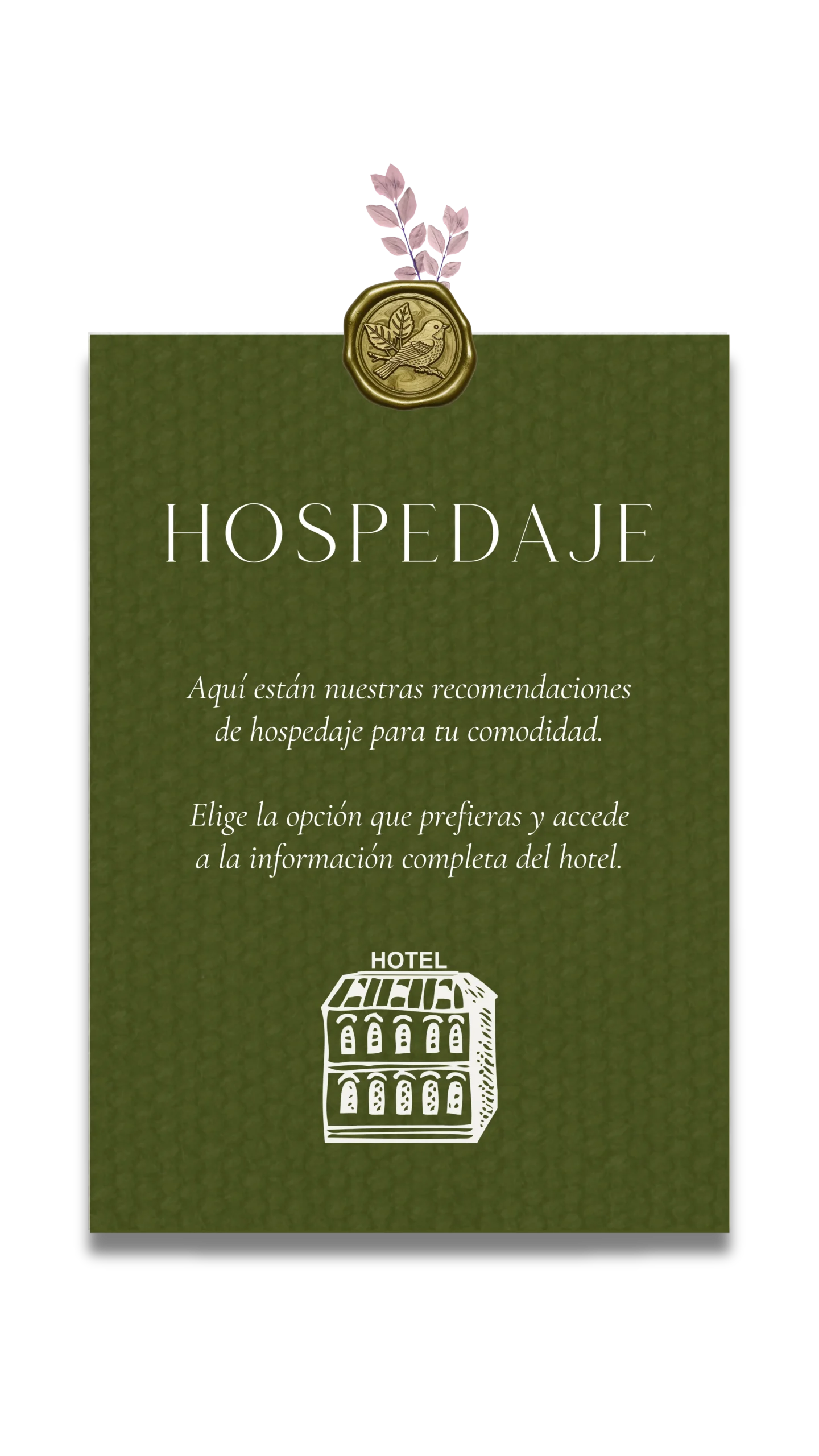 5 HOSPEDAJE